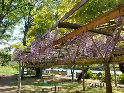 武蔵第六天神社(埼玉県)
