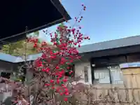 伊勢の国 四天王寺の自然