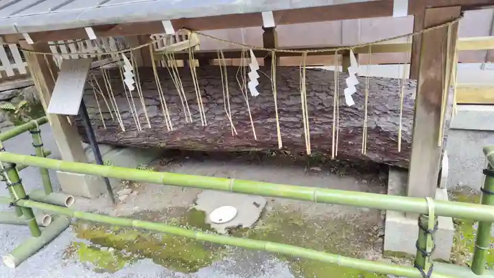 九頭竜大社(京都府)