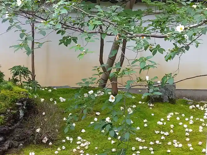 東林院(京都府)