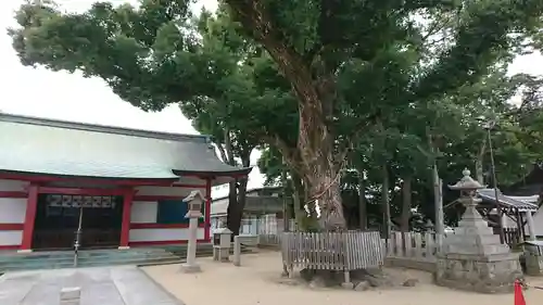 大依羅神社の本殿