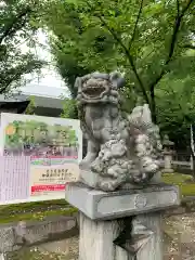 名古屋東照宮の狛犬