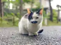 尻岸内八幡神社(北海道)