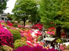 根津神社の庭園