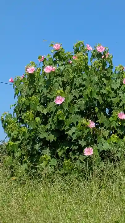 法然寺(京都府)