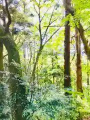 阿夫利神社の自然