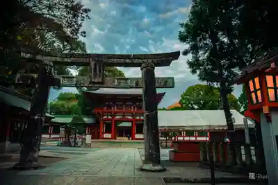 藤崎八旛宮(熊本県)