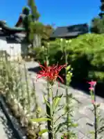 大覚寺の{uncategorized: "未分類", other: "その他", undefined: "問題あり", building: "その他建物", grave: "お墓", sacred_gate: "鳥居", guardian: "狛犬", statue: "像", buddha: "仏像", history: "歴史", nature: "自然", garden: "庭園", animal: "動物", pagoda: "塔", temizu: "手水舎", mountain_gate: "山門・神門", sanctuary: "本殿・本堂", subordinate: "末社・摂社", art: "芸術", scenery: "景色", jizo: "地蔵", ema: "絵馬", goshuin: "御朱印", omikuji: "おみくじ", items: "授与品その他", amulet: "お守り", goshuincho: "御朱印帳", eats: "食事", festival: "お祭り", votive_dance: "神楽", shichigosan: "七五三参", wedding: "結婚式", experience: "体験その他", initially: "初詣", around: "周辺", anti_infection: "感染症対策"}