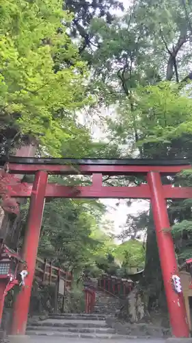 貴船神社の鳥居