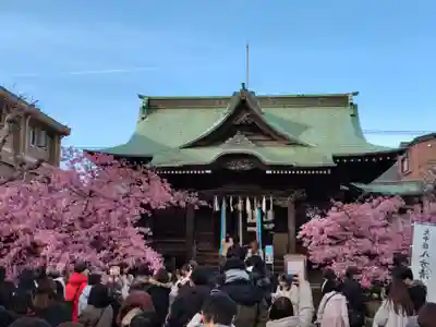 桜神宮の本殿・本堂