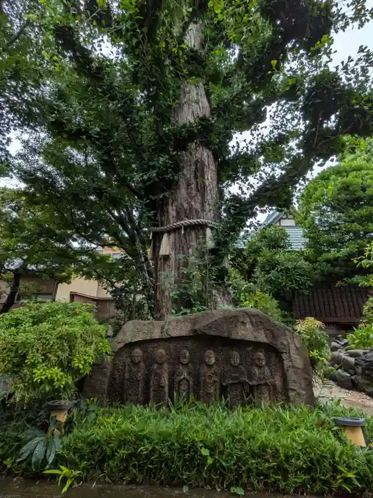 常性寺(東京都)