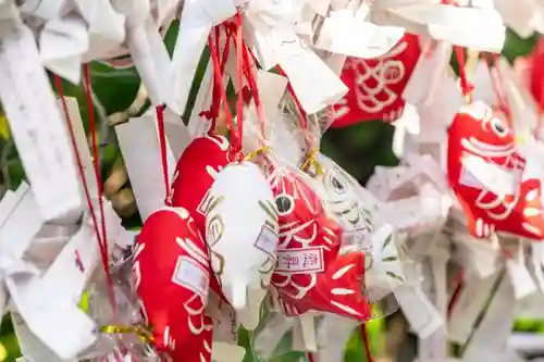 芝大神宮のおみくじ