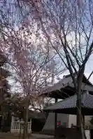 長徳寺(京都府)
