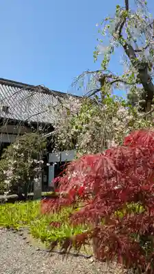 得浄明院(善光寺別院)(京都府)