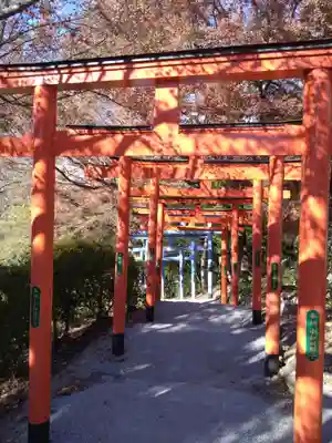 足利織姫神社の鳥居