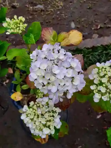 伏木香取神社(茨城県)