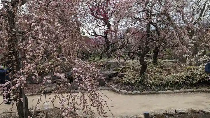 北野天満宮(京都府)