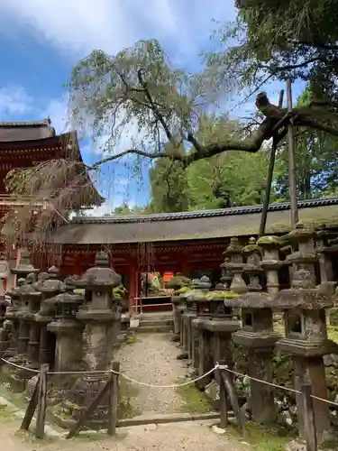 春日大社のその他建物