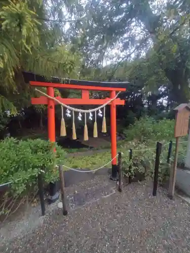 鷲宮神社(埼玉県)