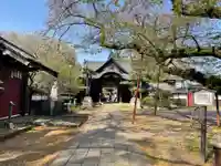 観音寺(世田谷山観音寺)(東京都)