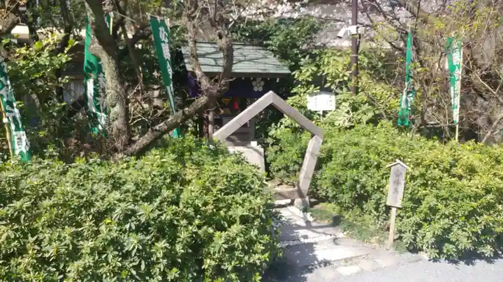 阿佐ヶ谷神明宮の自然