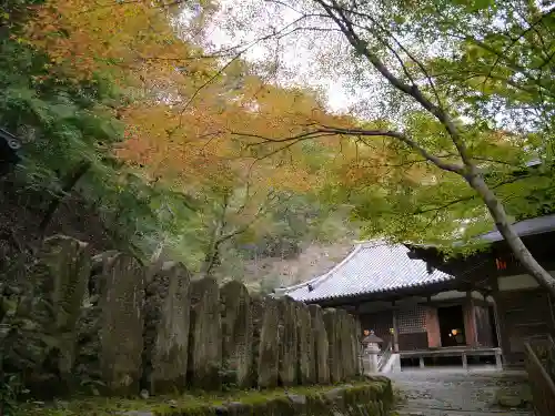 愛宕念仏寺の庭園