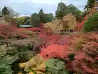東福禅寺(東福寺)(京都府)