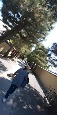 養徳院(京都府)