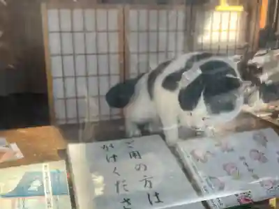 賀茂別雷神社(栃木県)