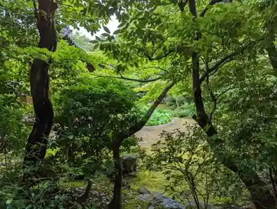 本法寺(京都府)