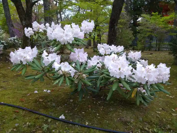 仁和寺(京都府)