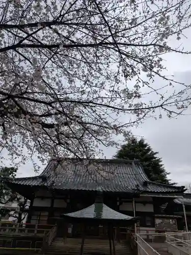 新井薬師（梅照院）(東京都)