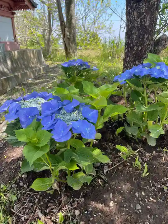 釧路一之宮 厳島神社の自然
