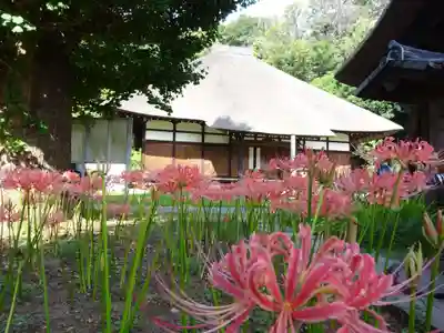 横浜 西方寺の本殿・本堂