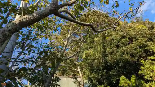 金刀比羅神社(千葉県)