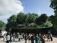 太宰府天満宮の本殿・本堂