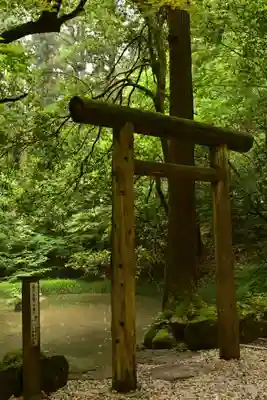 平泉寺白山神社(福井県)