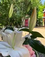 滑川神社 - 仕事と子どもの守り神(福島県)