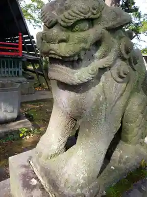 白山神社の狛犬