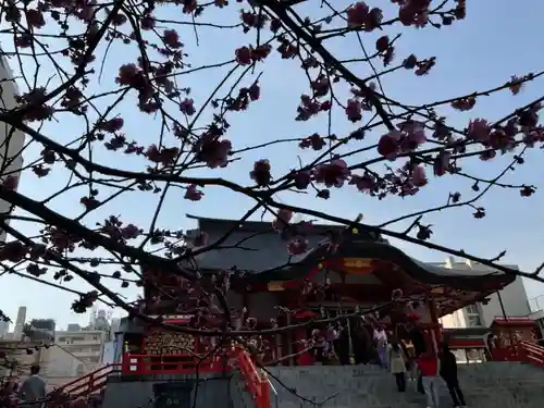 花園神社の本殿・本堂