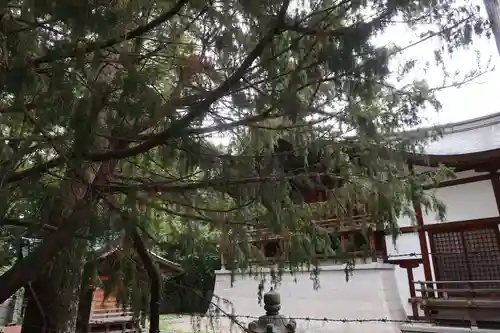 氣比神宮(福井県)