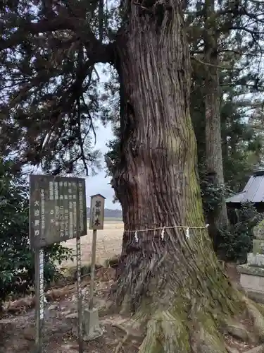 薄葉温泉神社(栃木県)