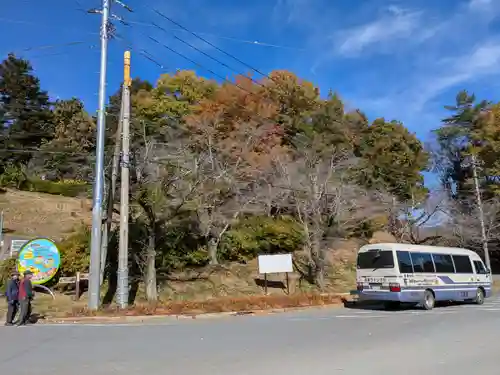 宝登山神社(埼玉県)