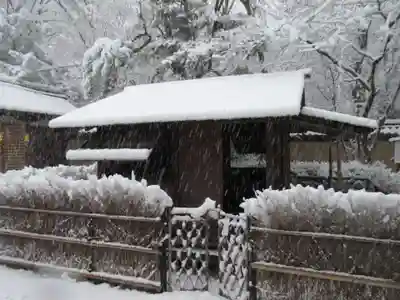 河合神社（鴨川合坐小社宅神社）(京都府)