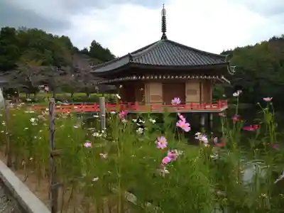 安倍文殊院 (奈良県)