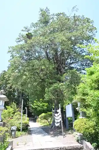 豊景神社(福島県)