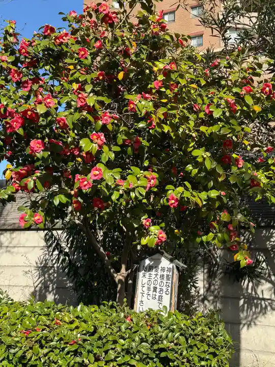 八幡社(大秋八幡社)(愛知県)