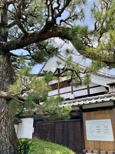 大覚寺のその他建物