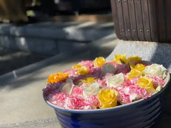 徳星寺(埼玉県)