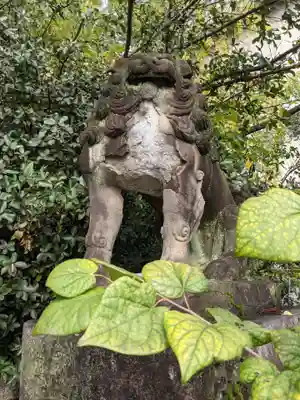 安井金比羅宮の狛犬